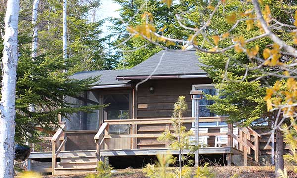 Cabin 8