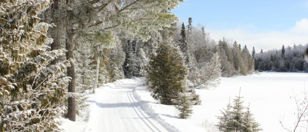 Trail by Lake Static