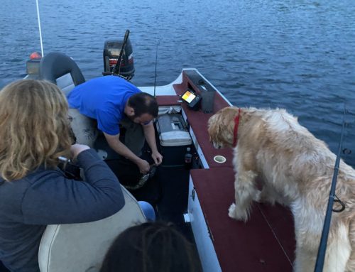 Whiskey (Almost) In the Water